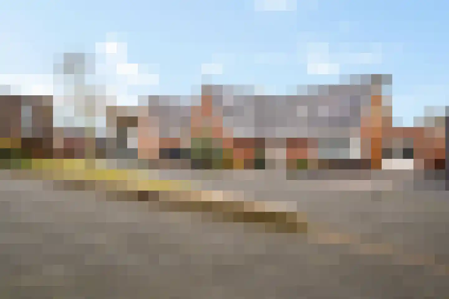 Knopkruid 19 Berghem thumbnail 6