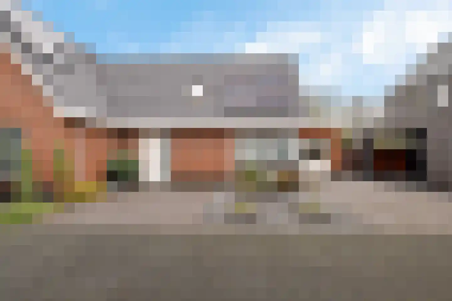 Knopkruid 19 Berghem thumbnail 8
