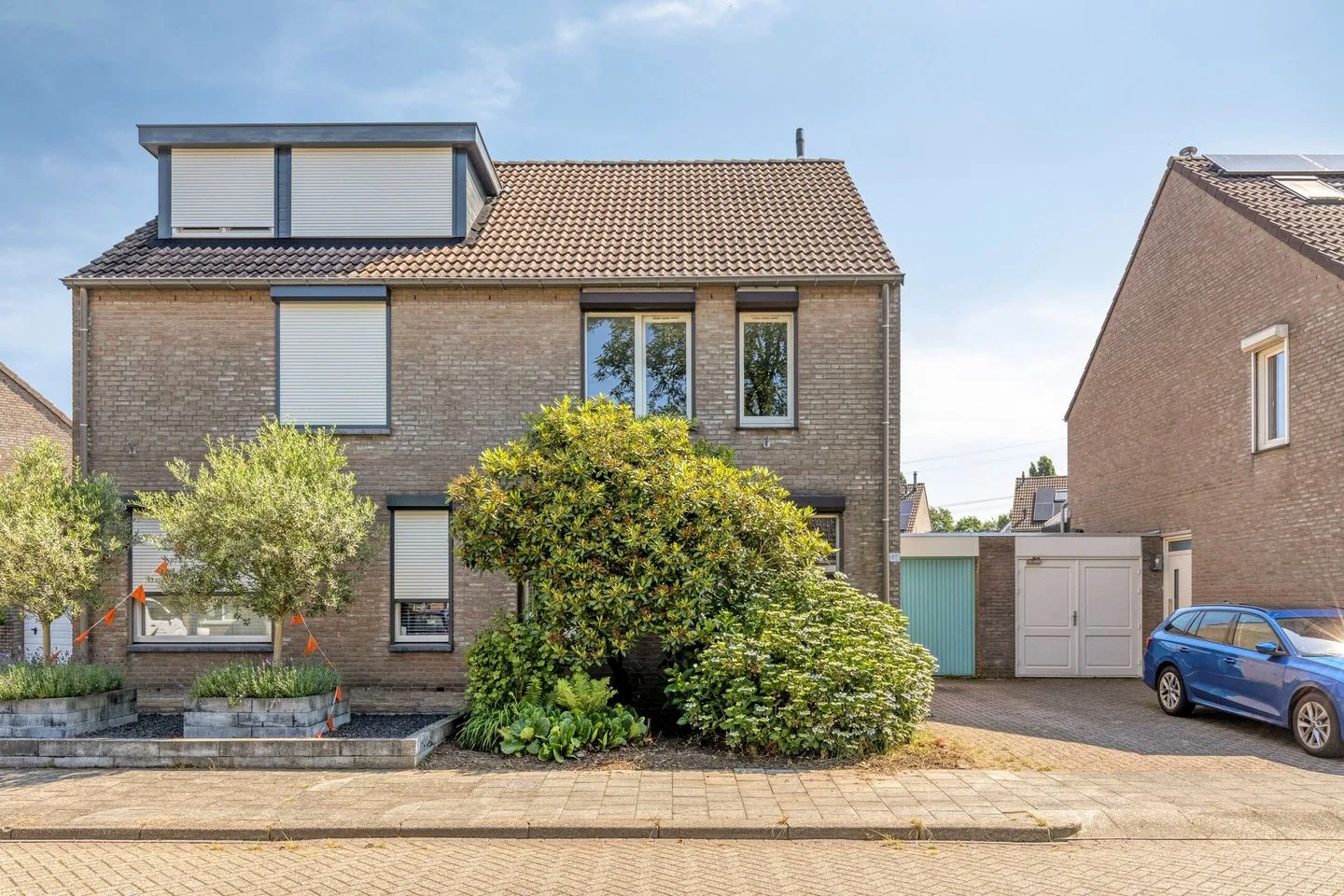 Knopkruid 45 Venray foto 2