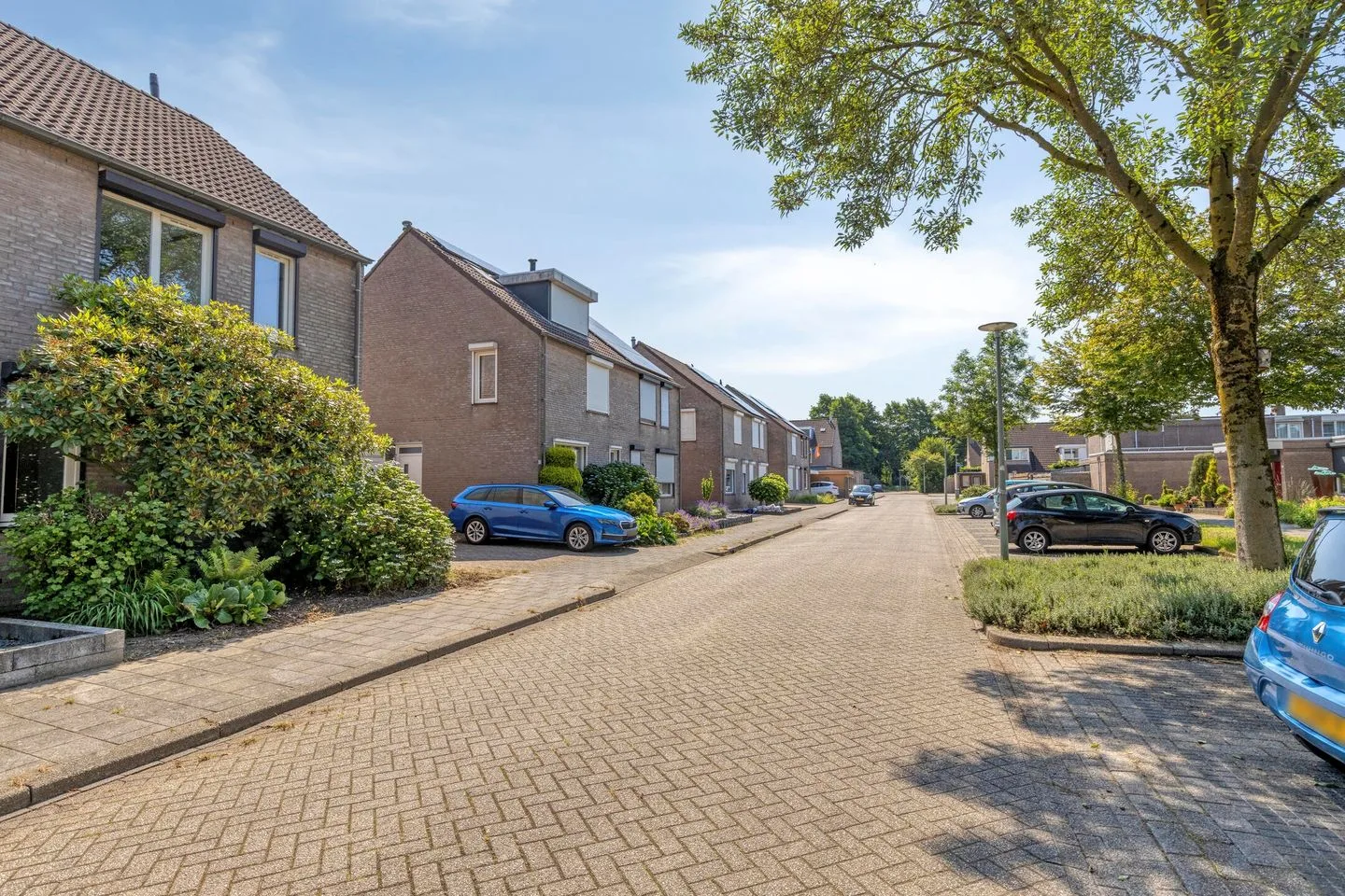 Knopkruid 45 Venray foto 3
