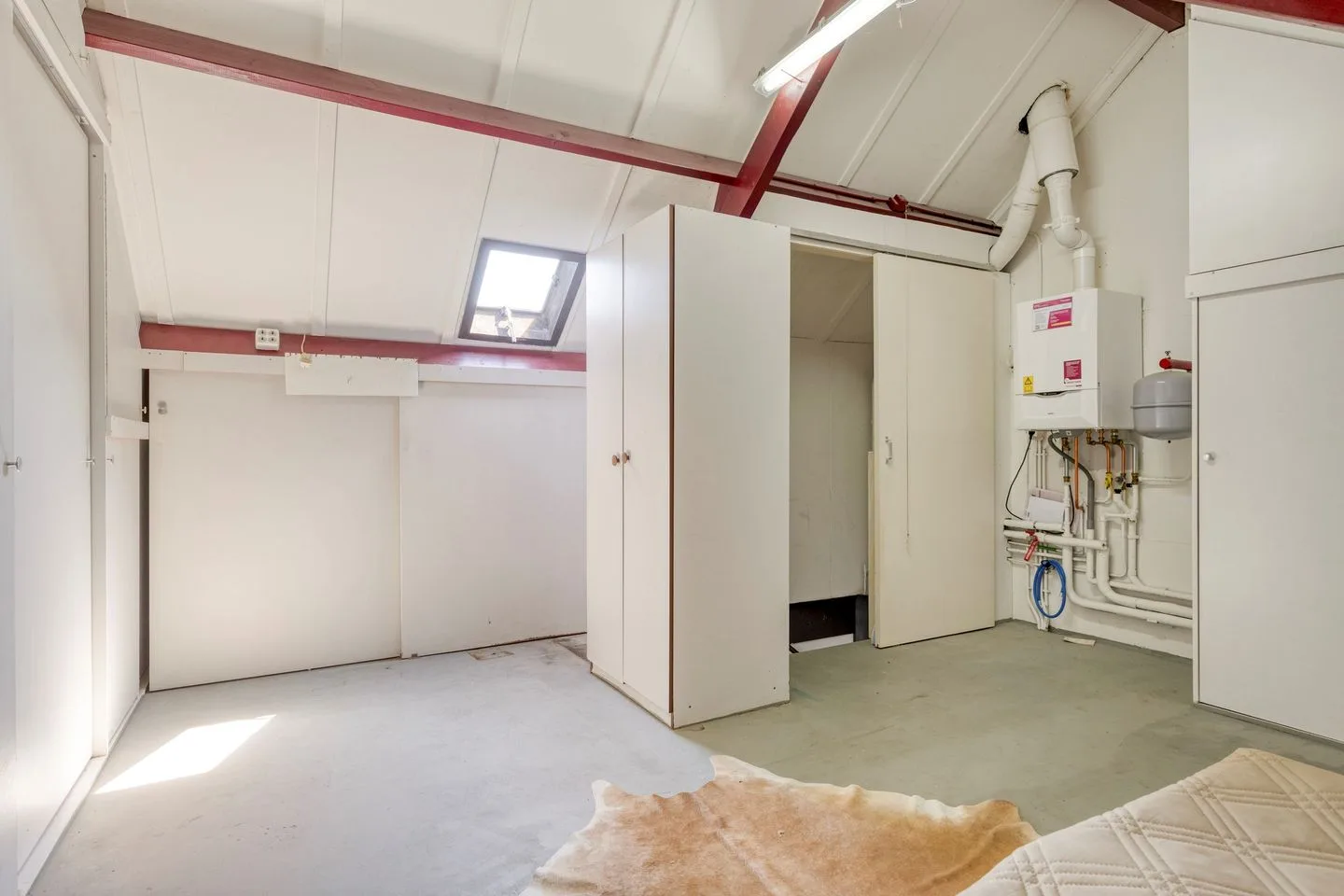 Knopkruid 45 Venray thumbnail 30