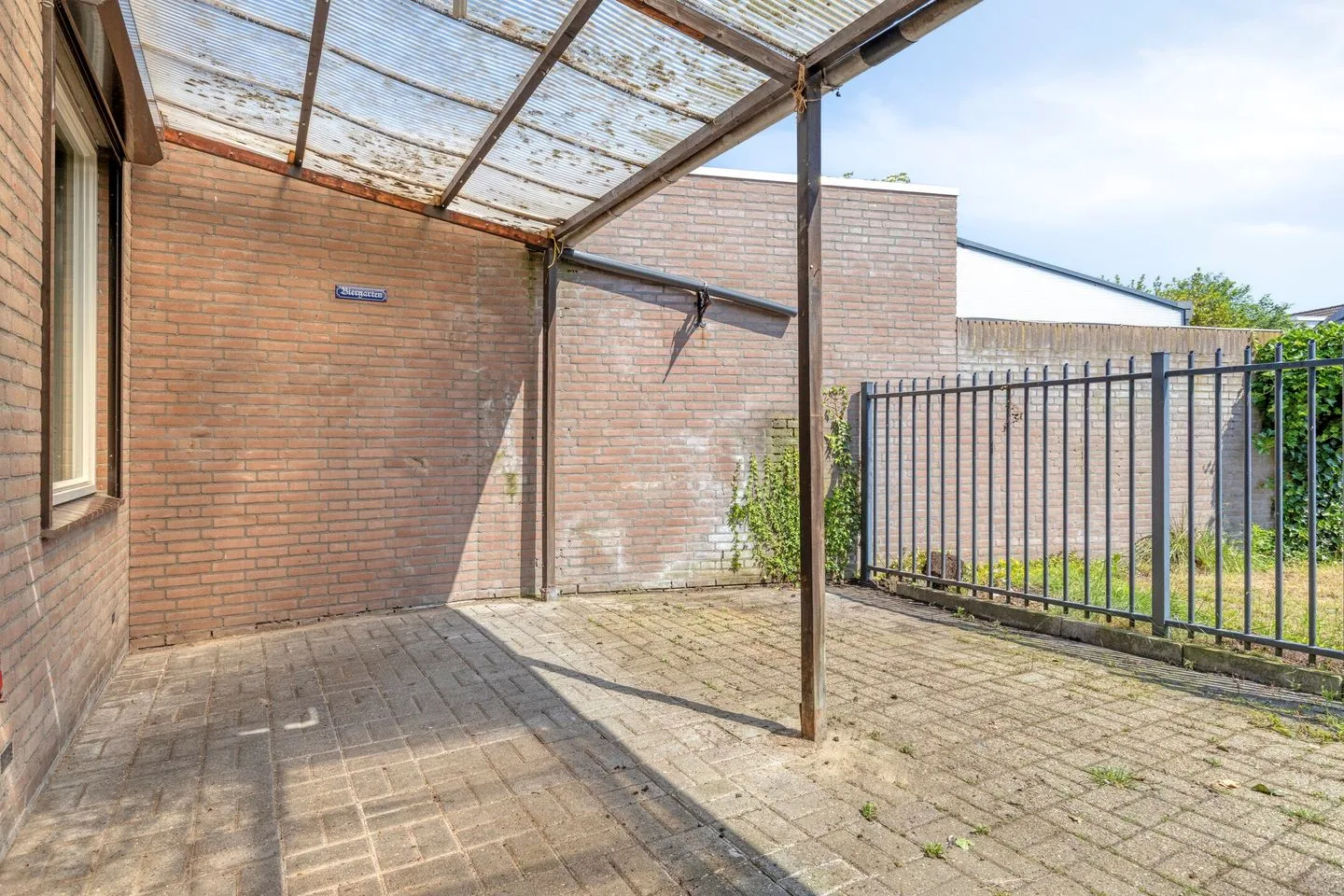 Knopkruid 45 Venray thumbnail 33
