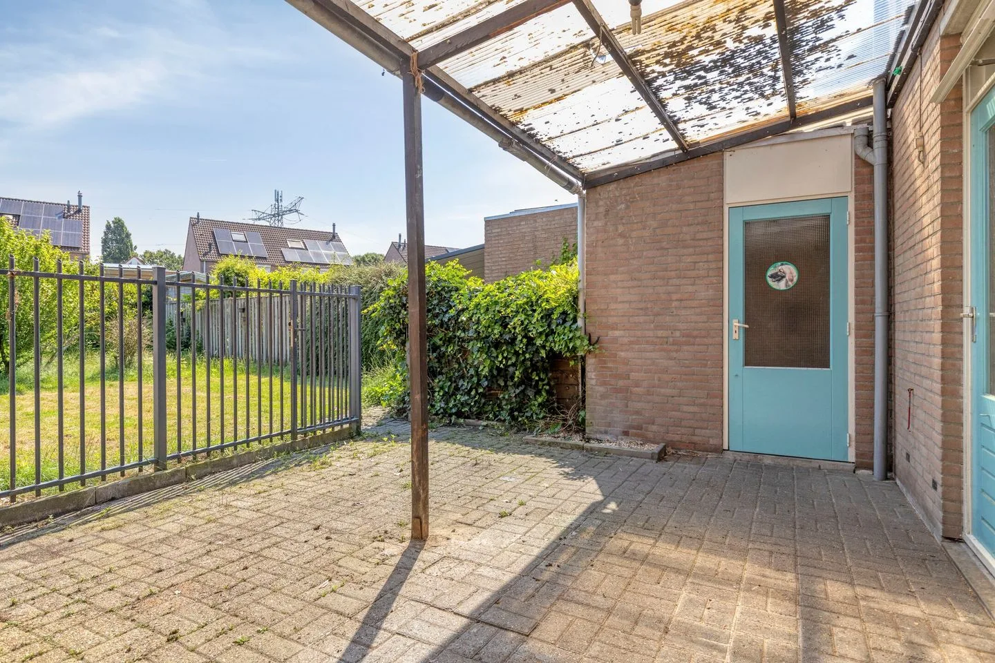 Knopkruid 45 Venray thumbnail 34
