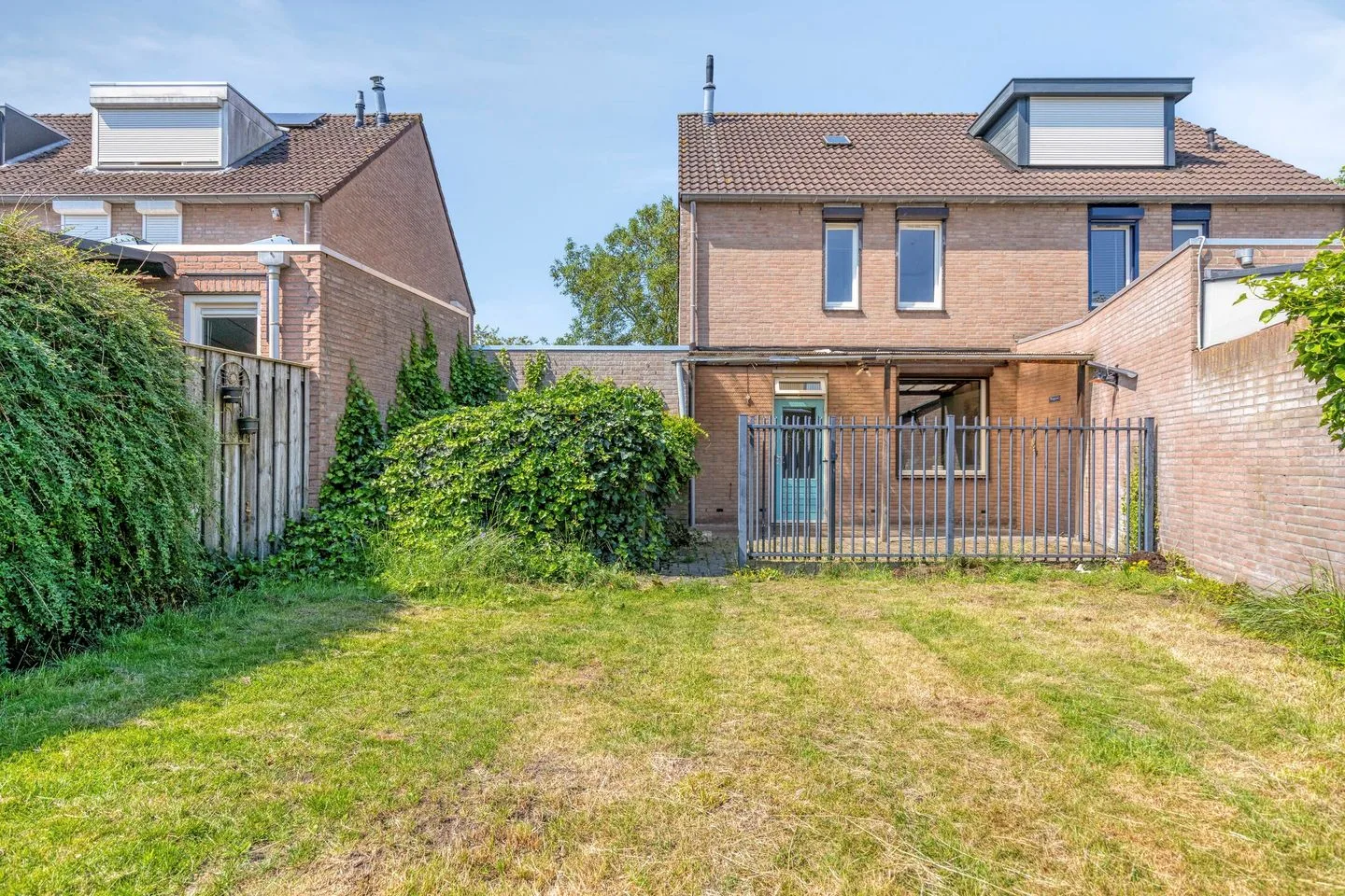 Knopkruid 45 Venray thumbnail 38