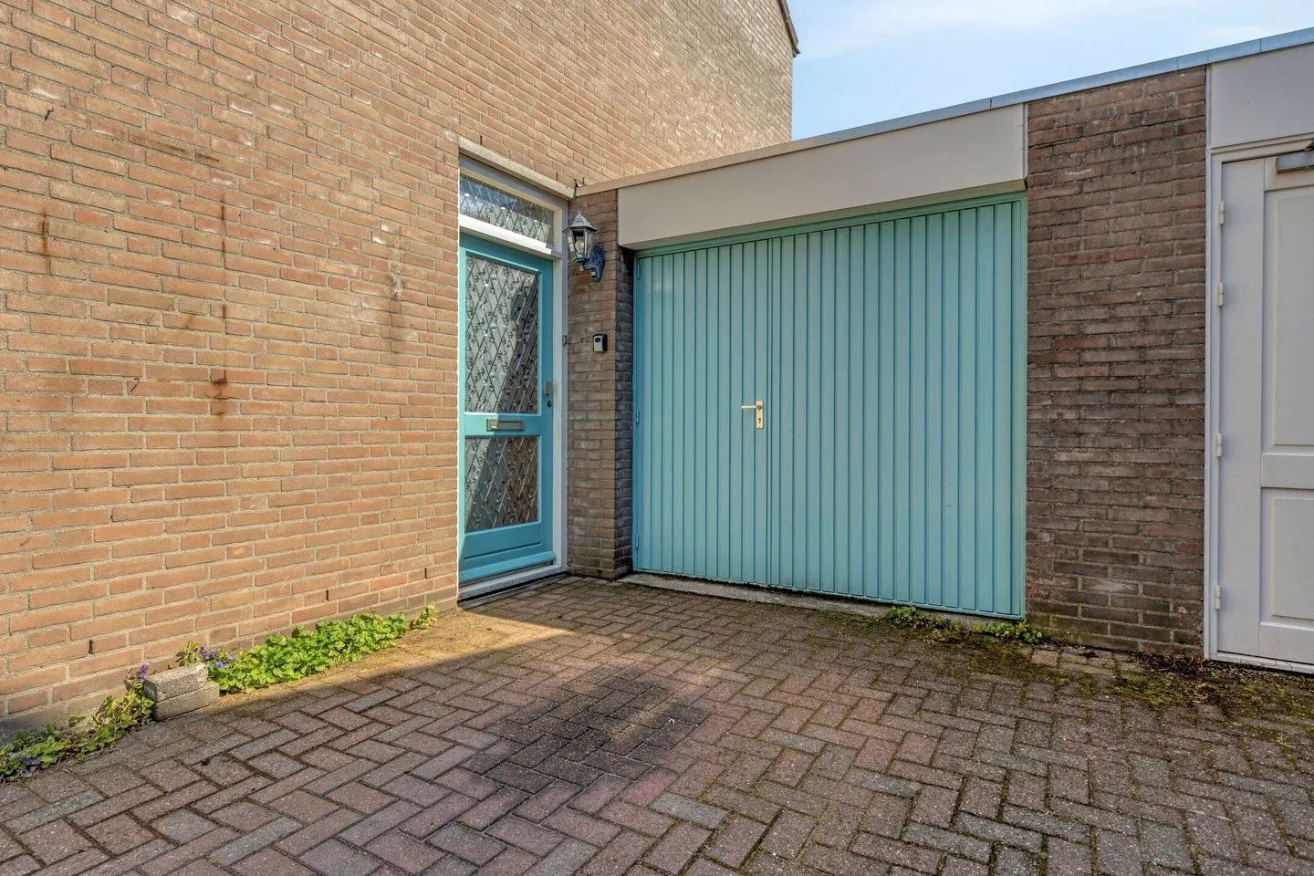 Knopkruid 45 Venray thumbnail 6