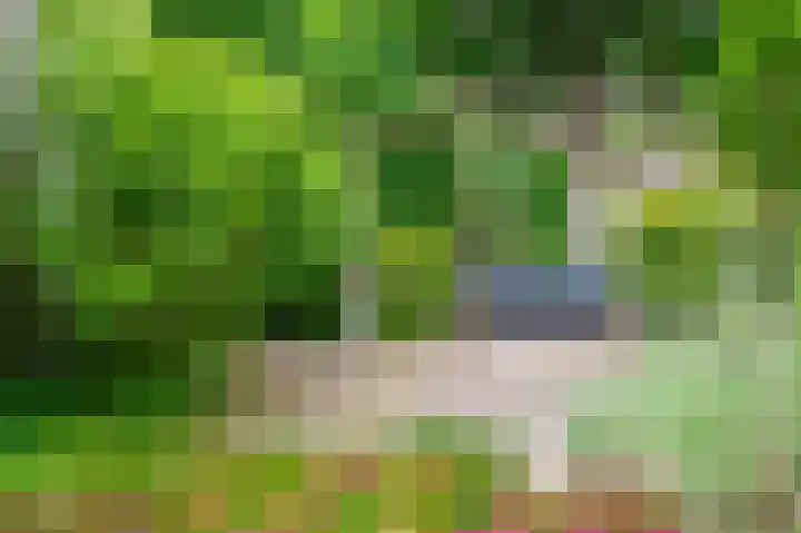 Knoppertkamp 17 Zwolle thumbnail 7