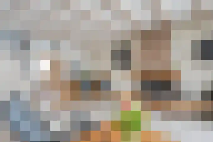 Knoppertkamp 4 Zwolle thumbnail 11
