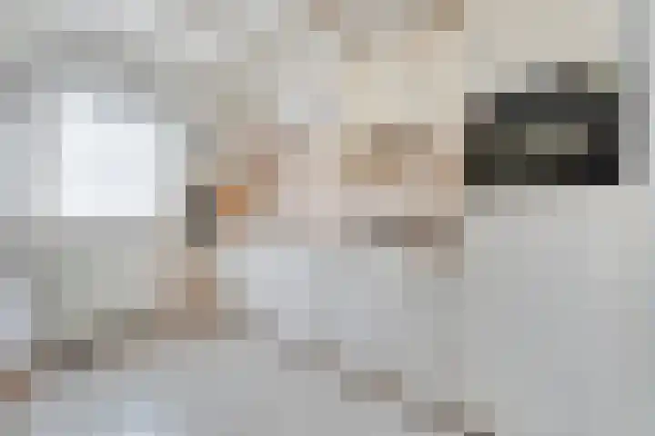 Knoppertkamp 4 Zwolle thumbnail 13