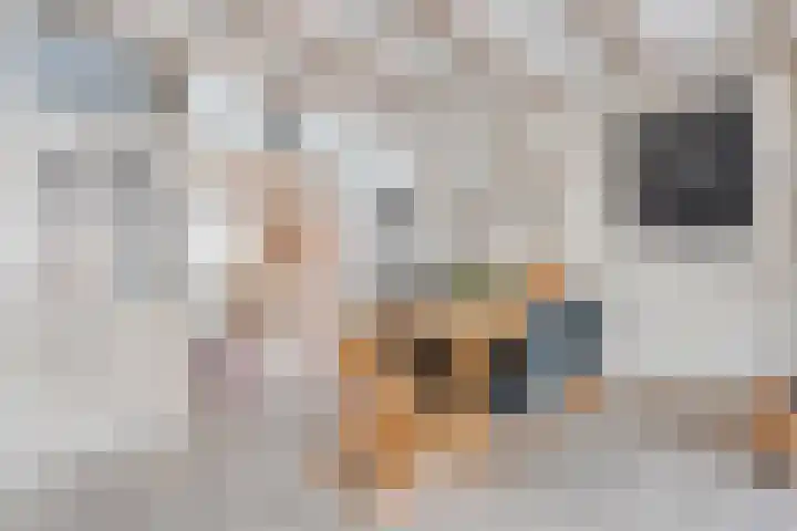 Knoppertkamp 4 Zwolle thumbnail 8
