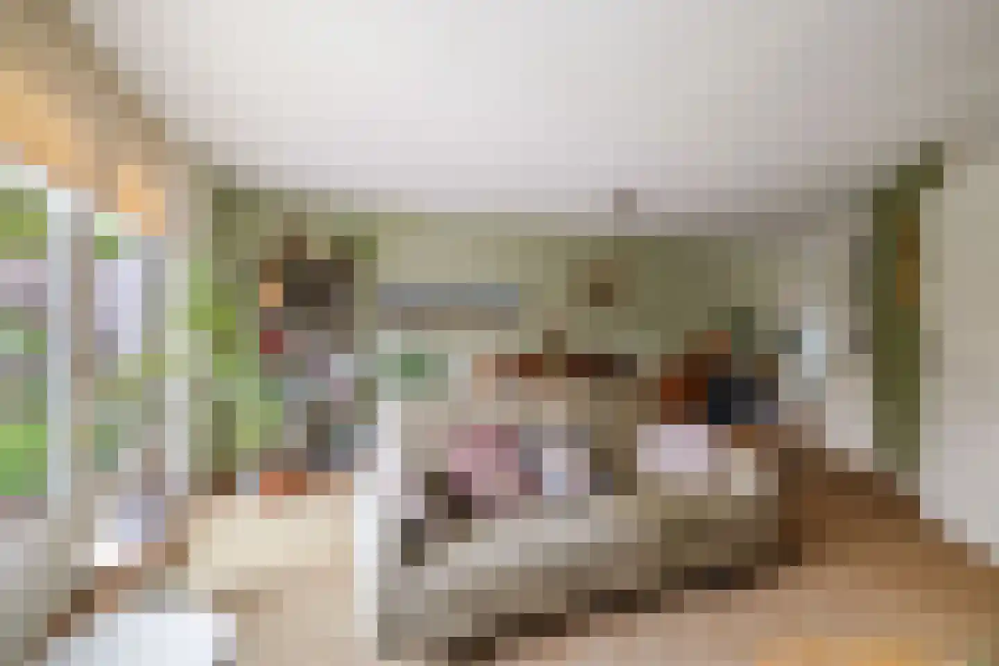 Knoppertlaan 4 Olst thumbnail 10