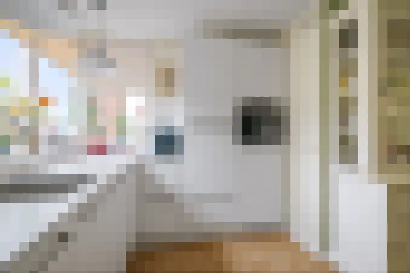 Knoppertlaan 4 Olst thumbnail 12