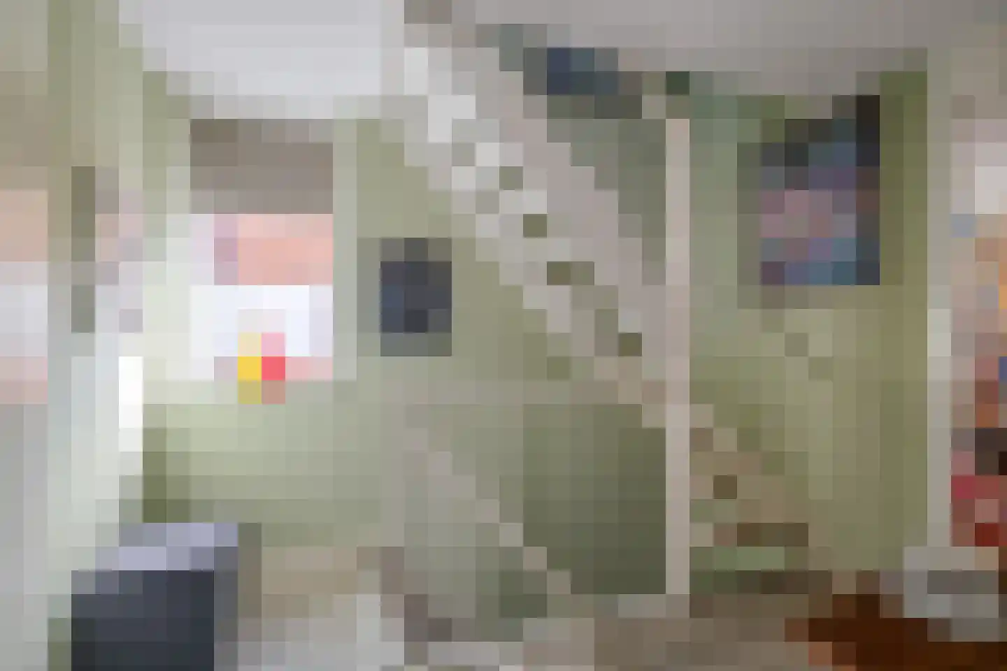 Knoppertlaan 4 Olst thumbnail 26