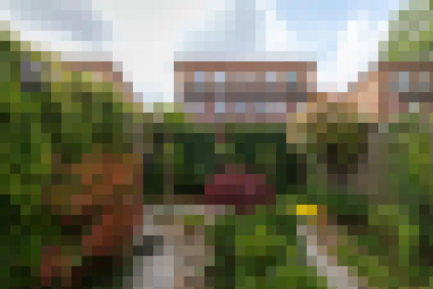 Knoppertlaan 4 Olst thumbnail 33
