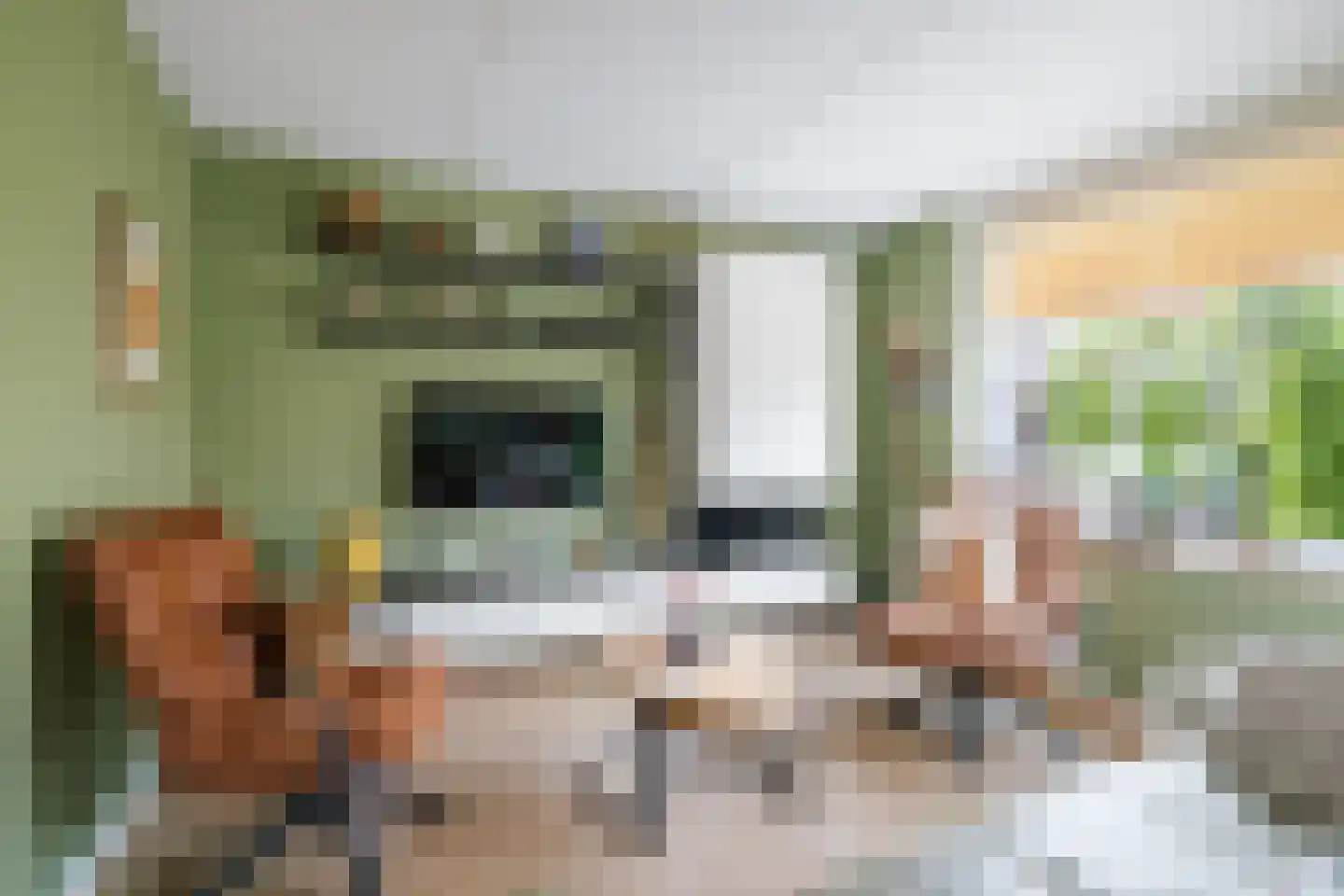 Knoppertlaan 4 Olst thumbnail 4