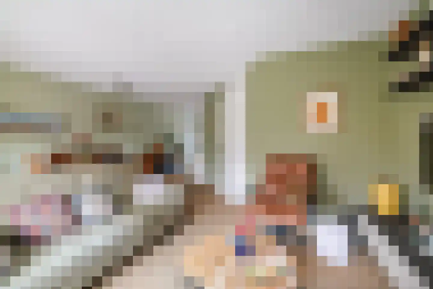 Knoppertlaan 4 Olst thumbnail 9