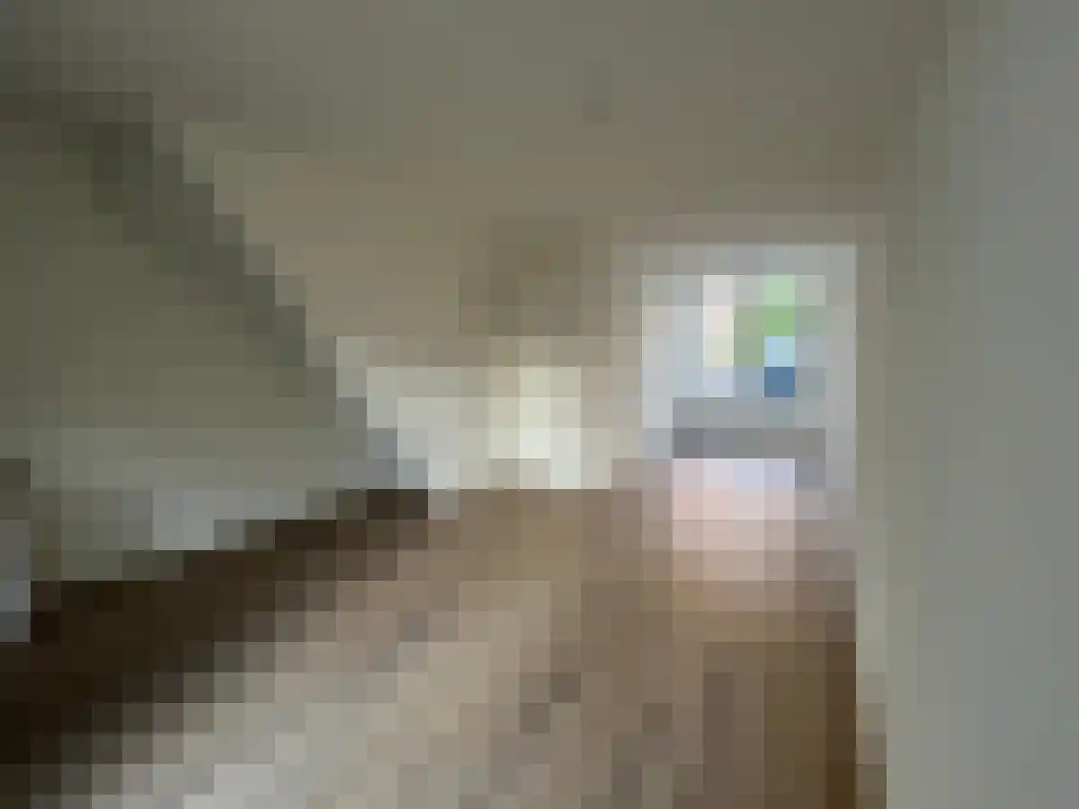 Knopstraat 14 Utrecht thumbnail 6