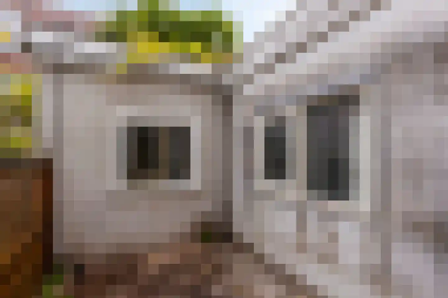 Knopstraat 21 Utrecht thumbnail 16