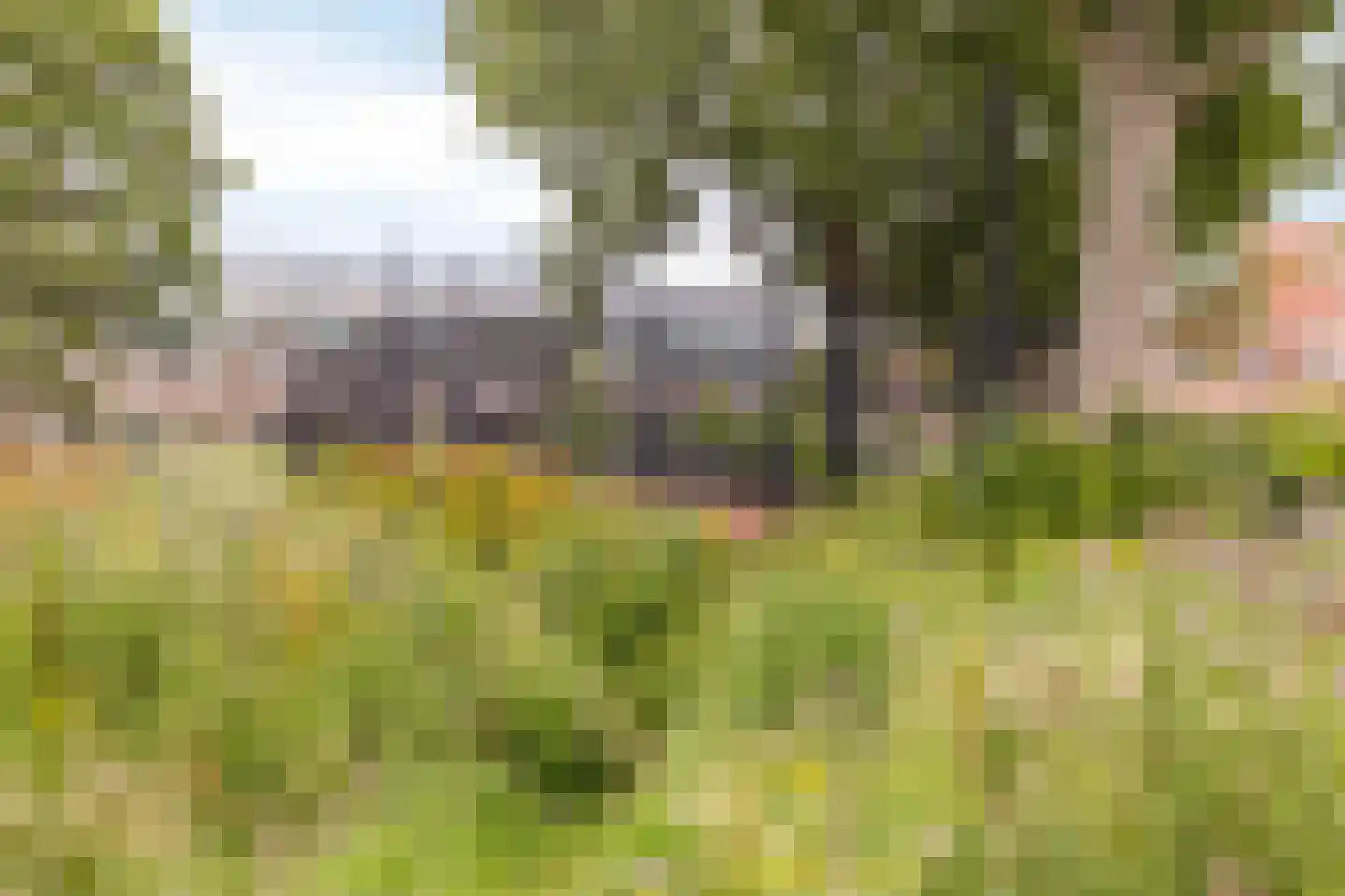 Knopstraat 21 Utrecht thumbnail 22