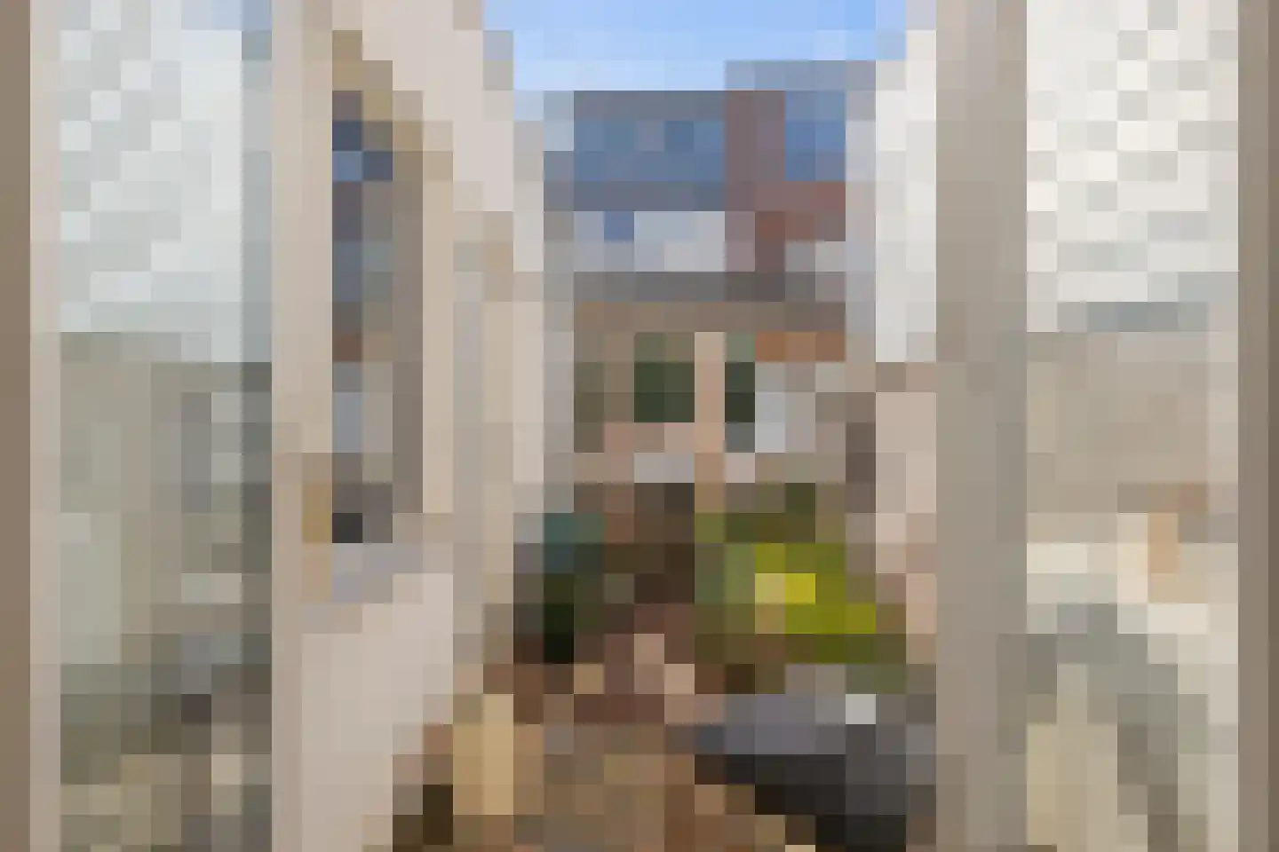 Knopstraat 26 Utrecht thumbnail 21
