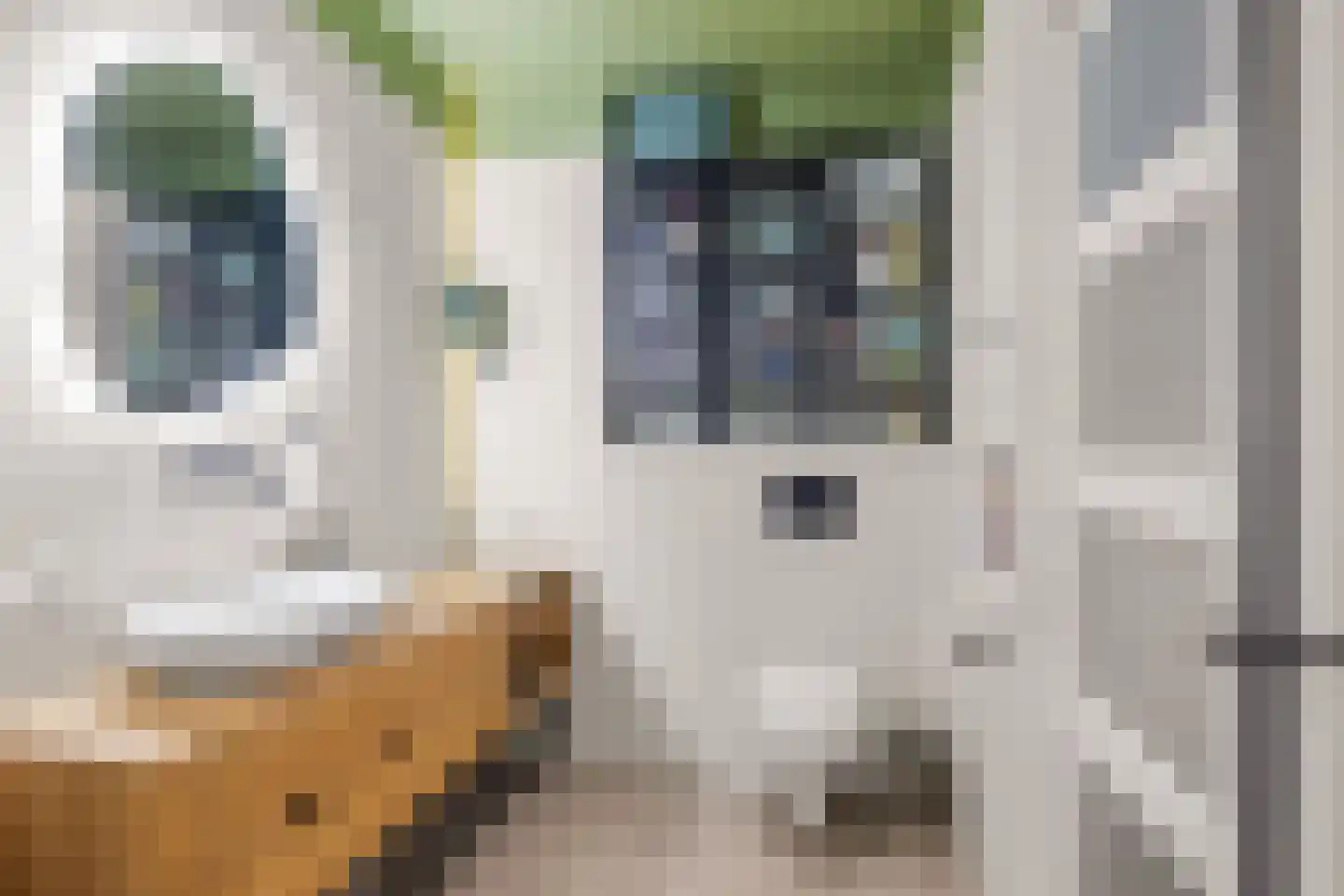 Knopstraat 26 Utrecht thumbnail 33