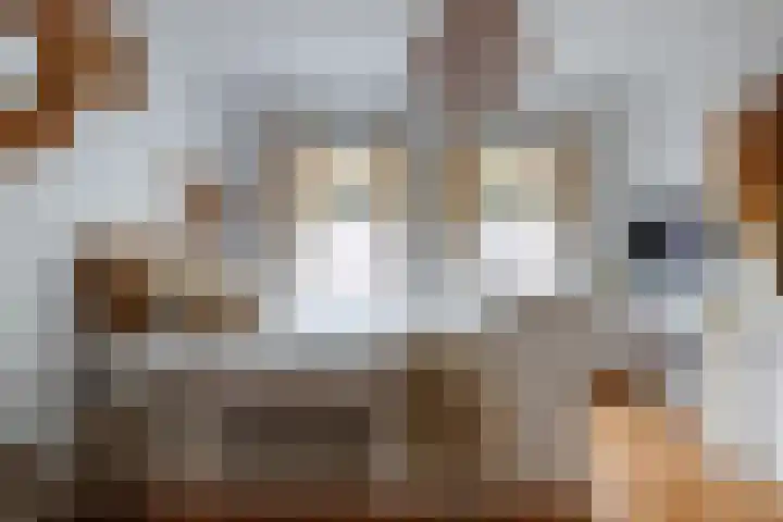 Knopstraat 48 Utrecht thumbnail 10