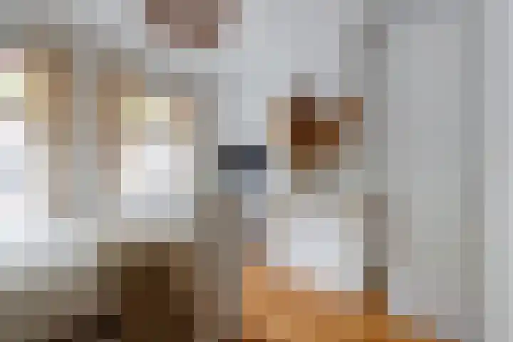 Knopstraat 48 Utrecht thumbnail 11