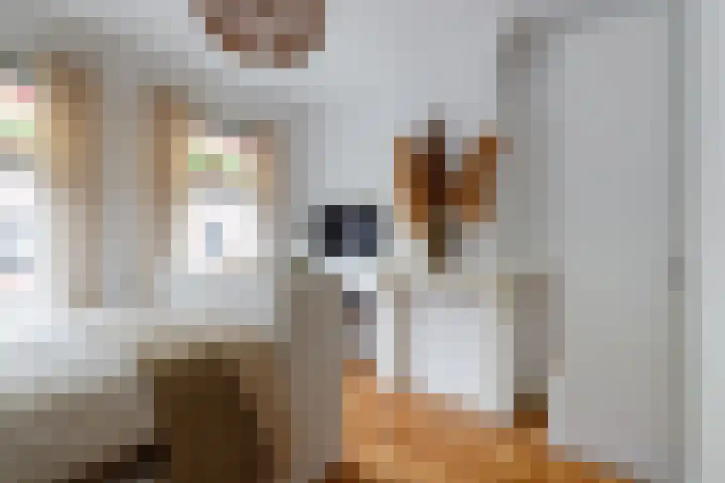 Knopstraat 48 Utrecht thumbnail 11