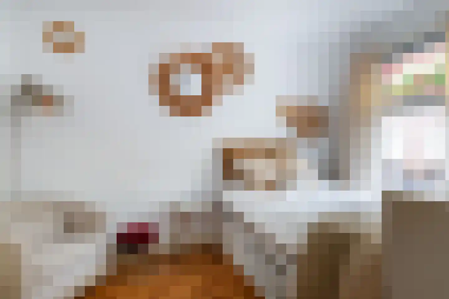 Knopstraat 48 Utrecht thumbnail 12