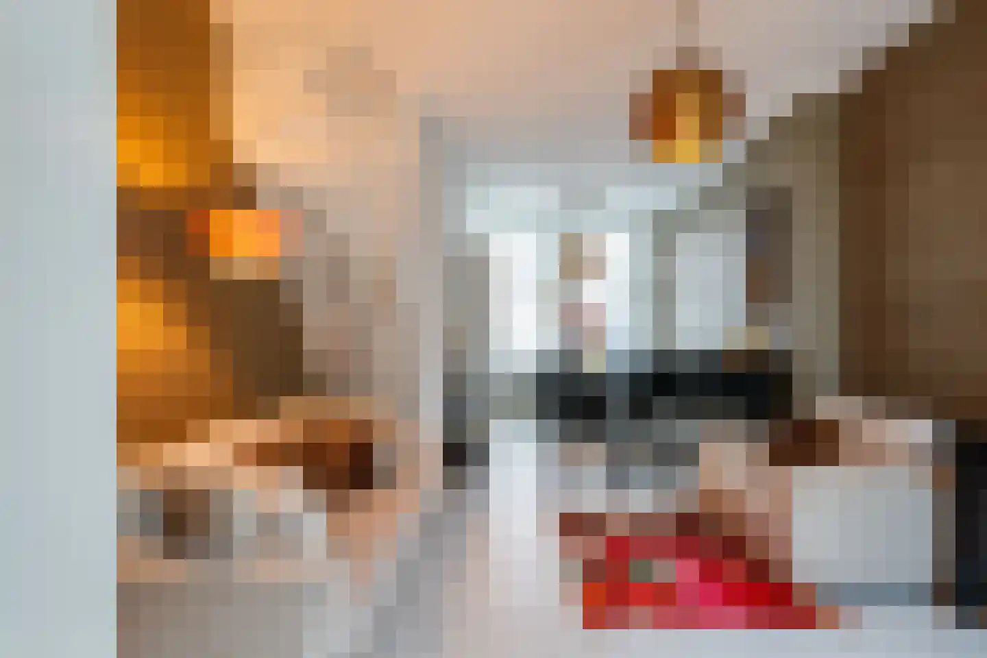 Knopstraat 48 Utrecht thumbnail 4
