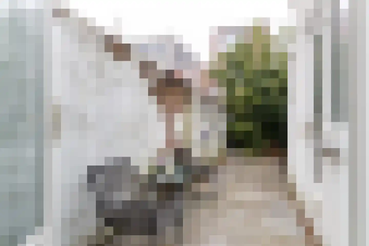 Knopstraat 48 Utrecht thumbnail 7