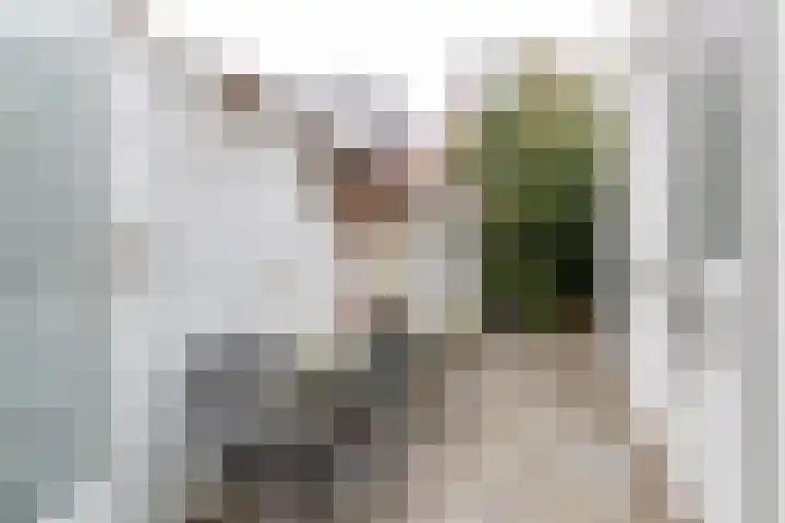 Knopstraat 48 Utrecht thumbnail 7