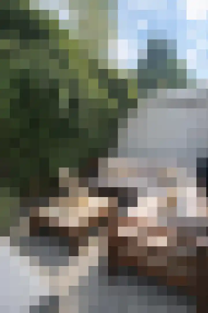 Knopstraat 48 Utrecht thumbnail 9