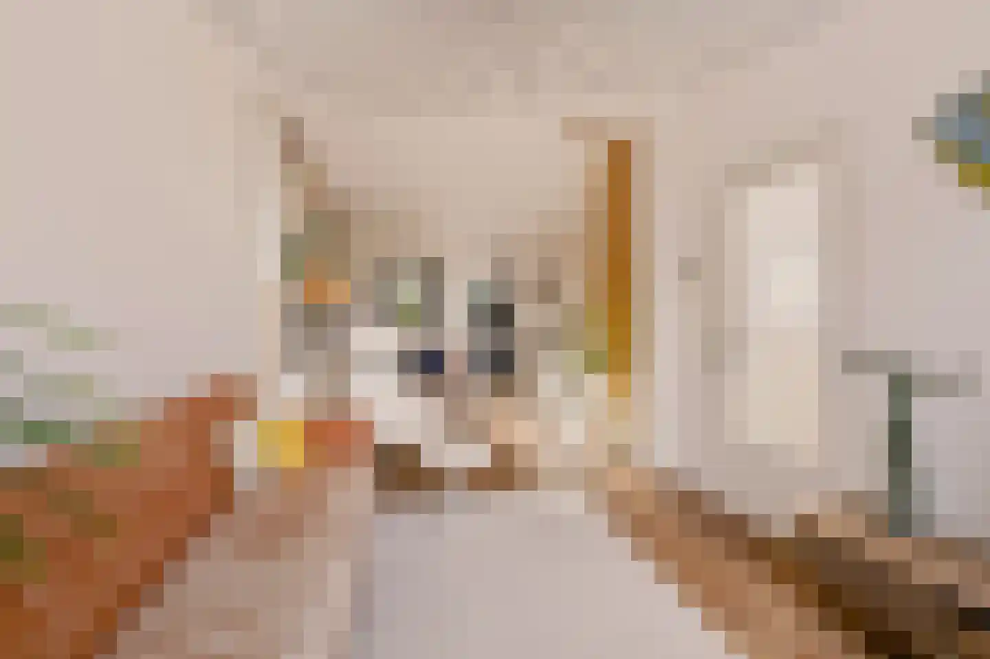 Knopstraat 53 Utrecht thumbnail 10