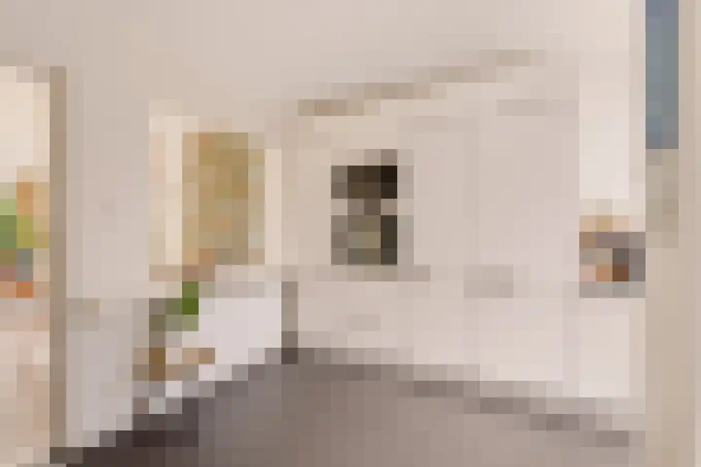 Knopstraat 53 Utrecht thumbnail 18