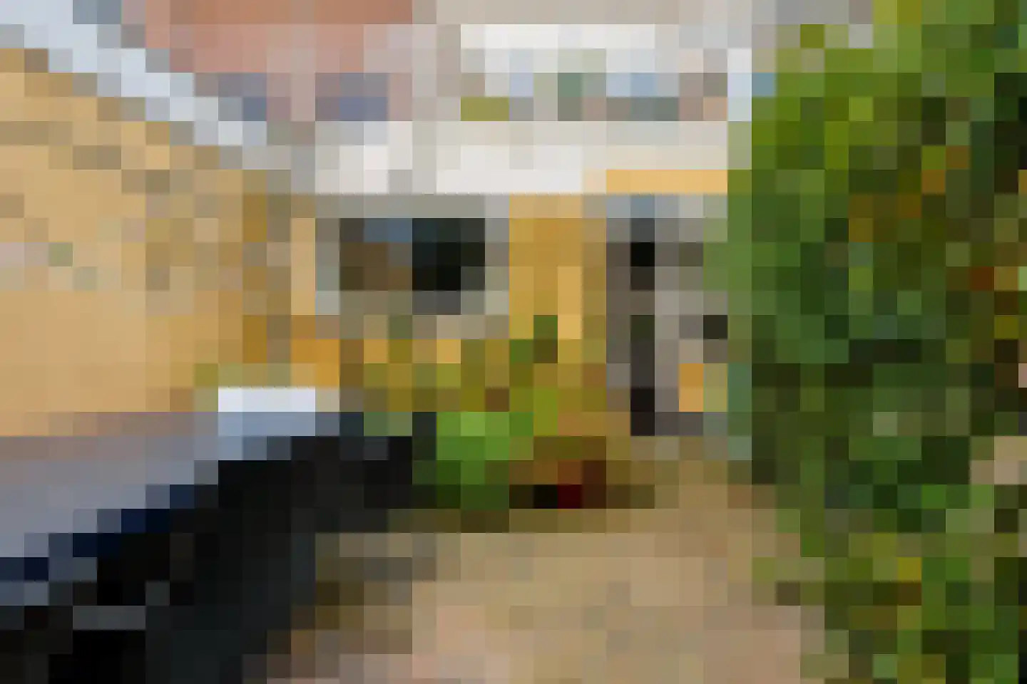 Knopstraat 53 Utrecht thumbnail 21