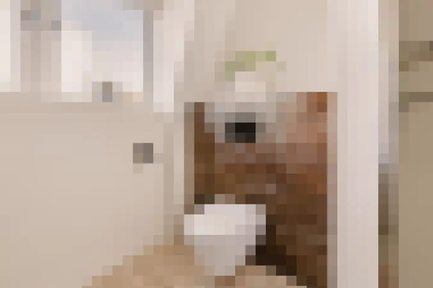 Knopstraat 53 Utrecht thumbnail 25