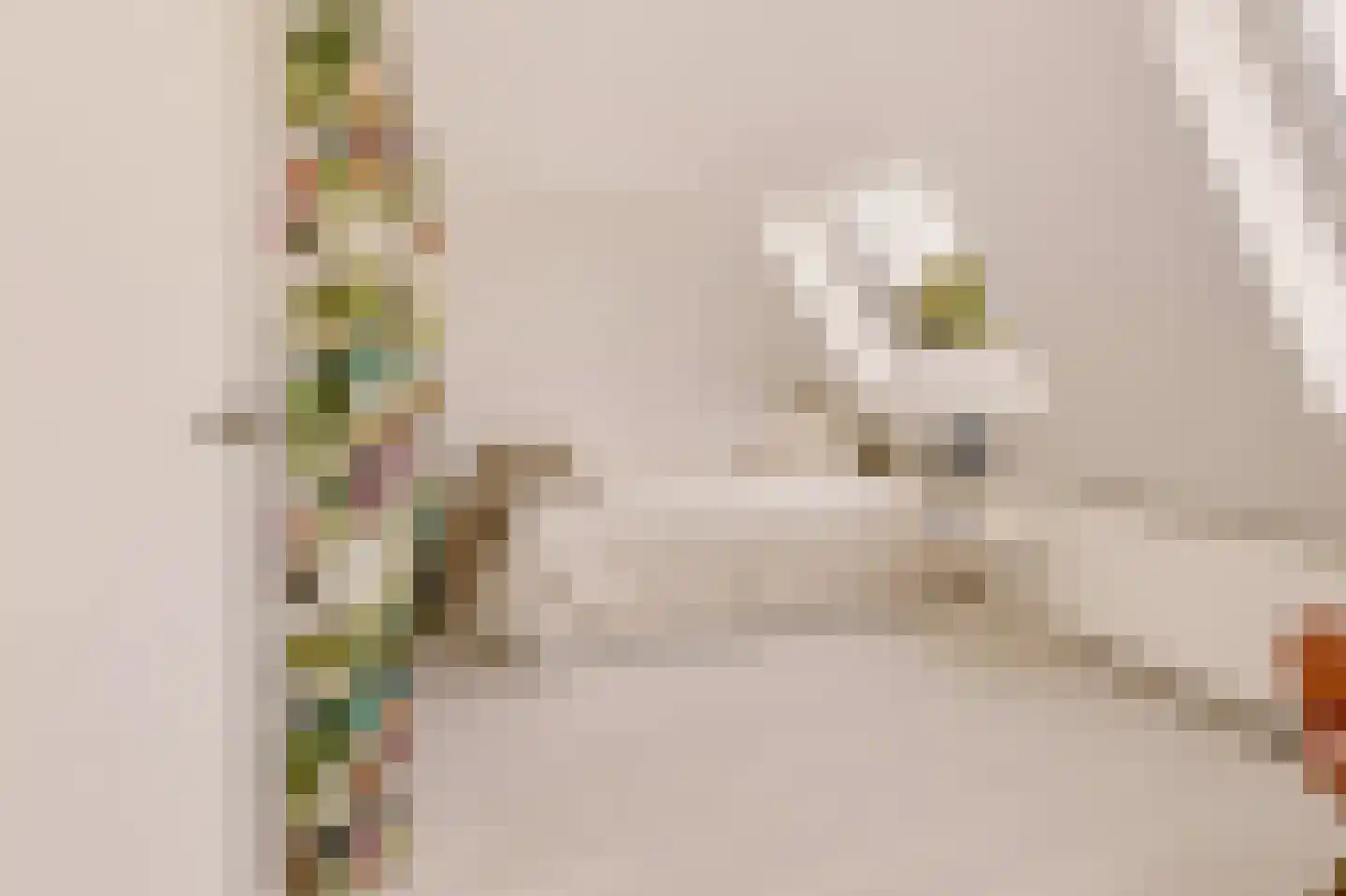 Knopstraat 53 Utrecht thumbnail 33