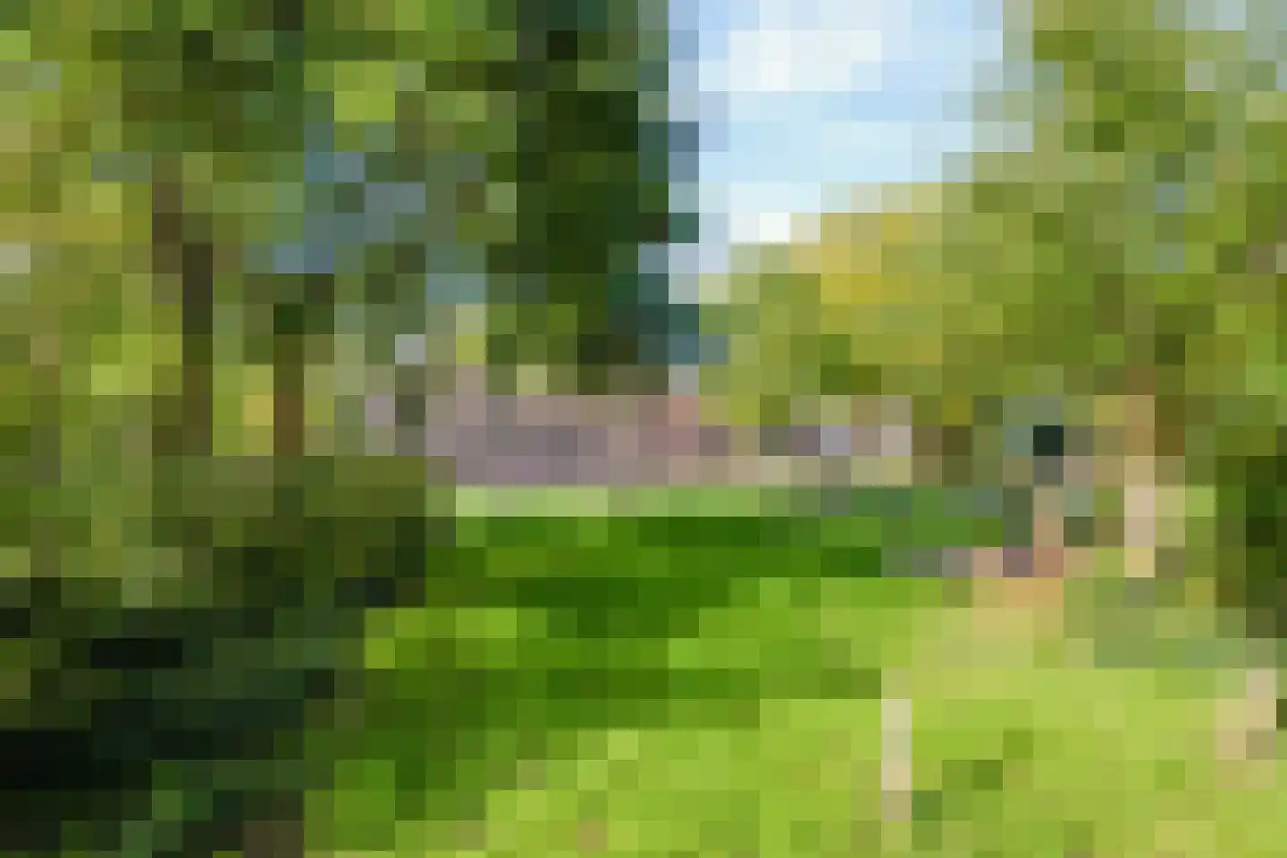 Knopstraat 53 Utrecht thumbnail 40