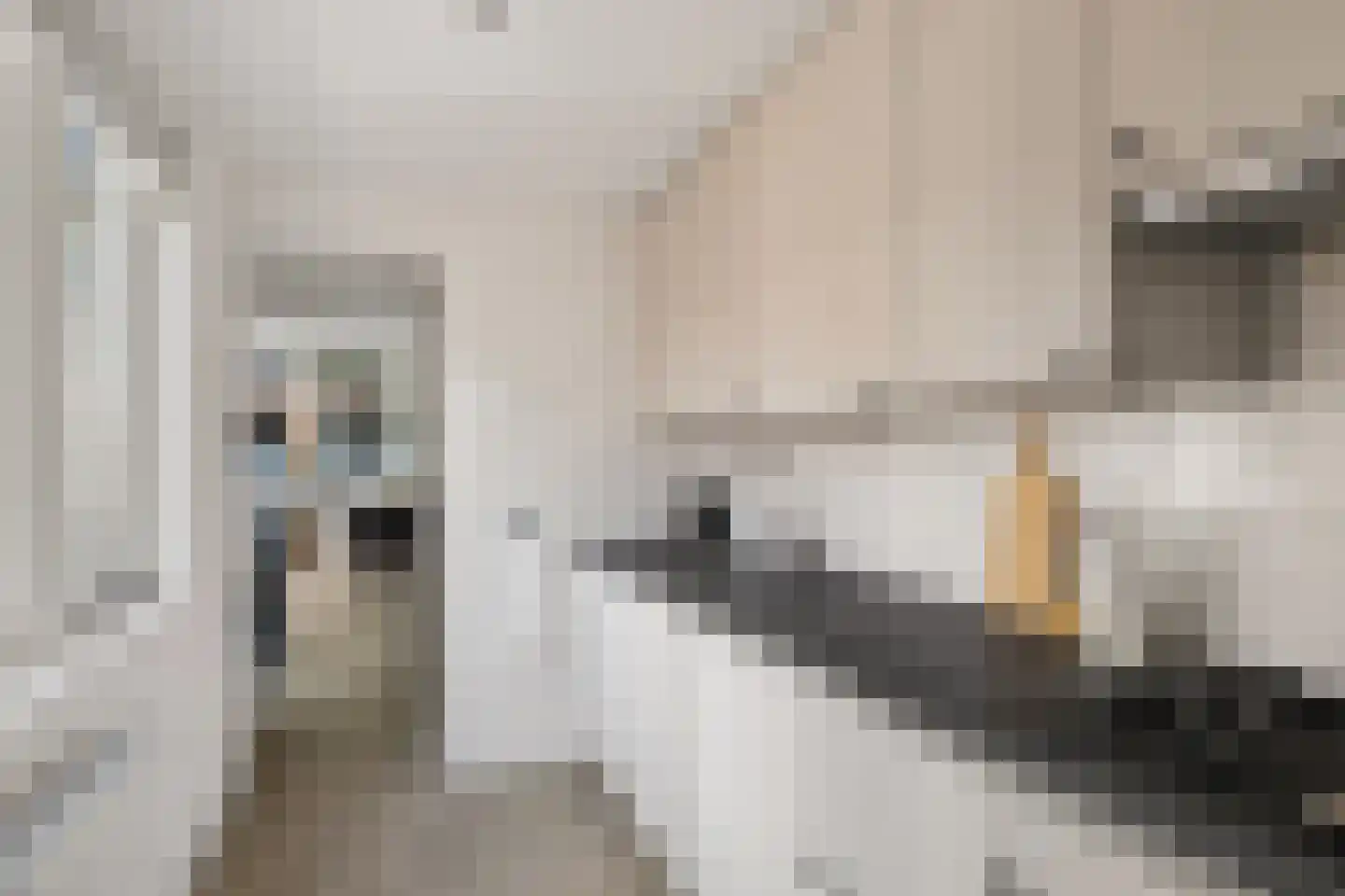 Knopstraat 7 Utrecht thumbnail 10