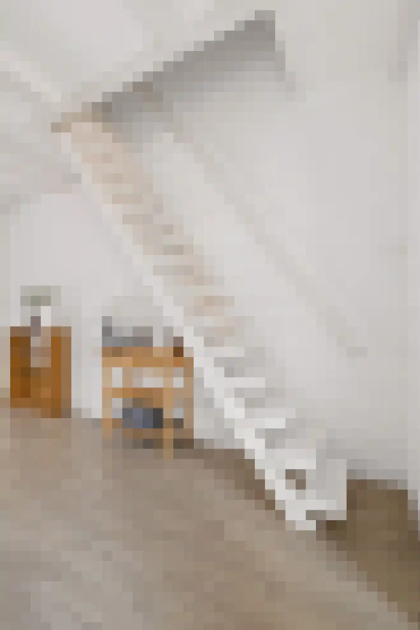 Knopstraat 7 Utrecht thumbnail 20