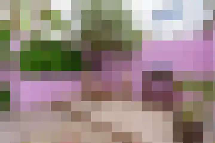 Knopstraat 9 Utrecht thumbnail 17