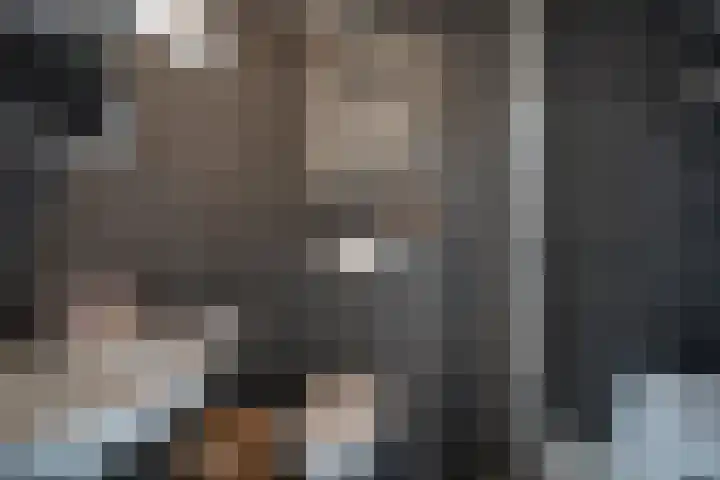 Knopstraat 9 Utrecht thumbnail 25