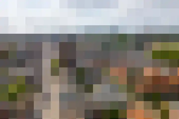 Knopstraat 9 Utrecht thumbnail 26