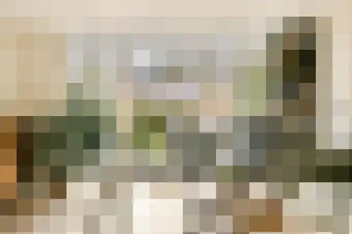 Knorrenburg 9 Sassenheim thumbnail 10