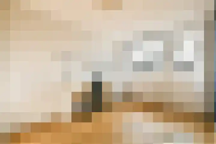 Knorrenburg 9 Sassenheim thumbnail 13