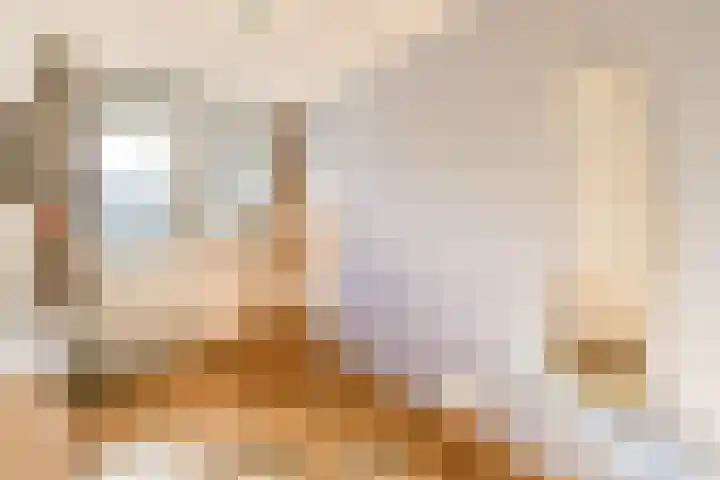 Knorrenburg 9 Sassenheim thumbnail 15