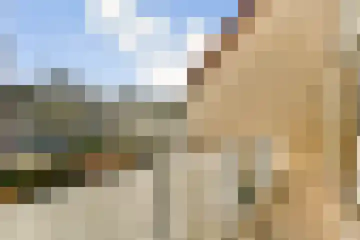 Knorrenburg 9 Sassenheim thumbnail 18