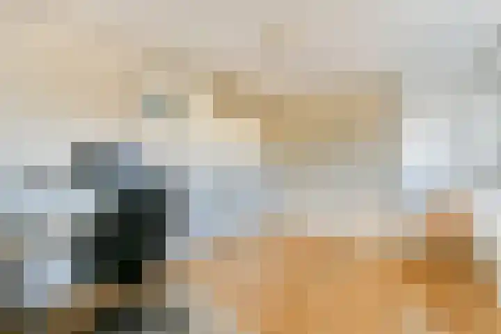 Knorrenburg 9 Sassenheim thumbnail 20