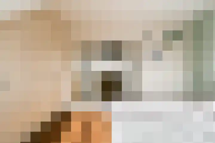 Knorrenburg 9 Sassenheim thumbnail 26