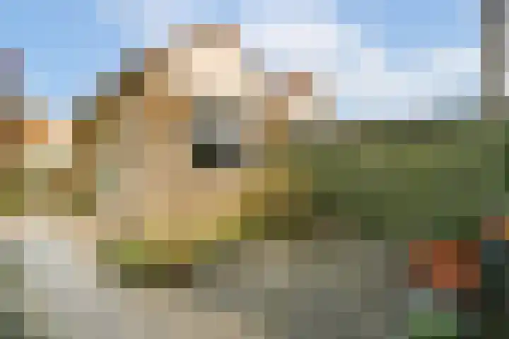 Knorrenburg 9 Sassenheim thumbnail 28